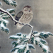 Tansetsu Kano Gallery